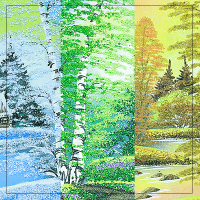 Времена года